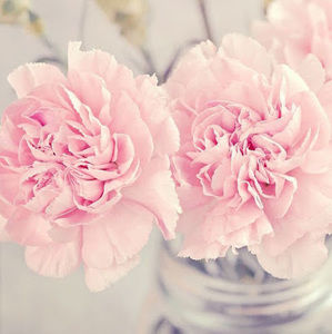 Meet your Posher, Mirabel